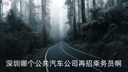 深圳巴士集團(tuán)招聘信息信息，深圳哪個(gè)公共汽車公司再招乘務(wù)員啊