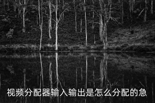 高清視頻分配器怎么用，什么是視頻分配器