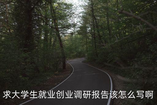 求大學生就業創業調研報告該怎么寫啊
