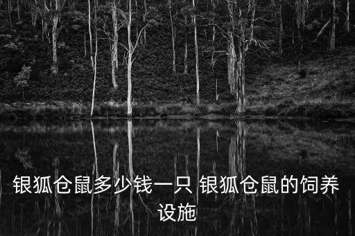 銀狐倉(cāng)鼠多少錢一只 銀狐倉(cāng)鼠的飼養(yǎng)設(shè)施