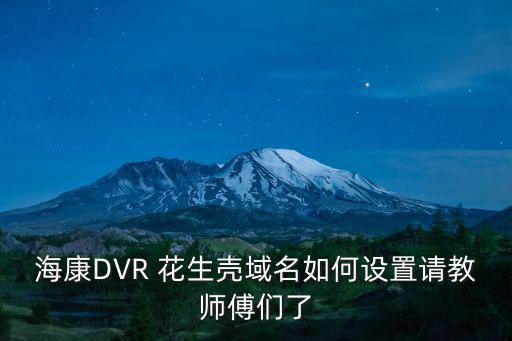海康DVR 花生殼域名如何設置請教師傅們了