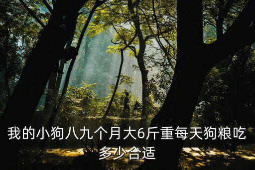 我的小狗八九個月大6斤重每天狗糧吃多少合適