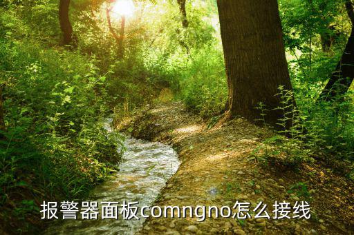 報警器面板comngno怎么接線