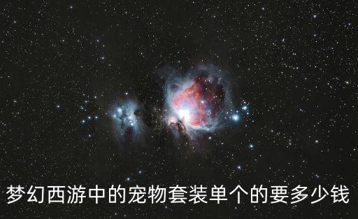 夢幻西游中的寵物套裝單個的要多少錢