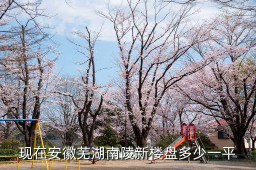 現(xiàn)在安徽蕪湖南陵新樓盤多少一平