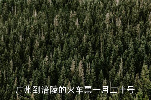 廣州到禮陵的火車票，現在廣州到醴陵的k222k223的火車票緊張嗎