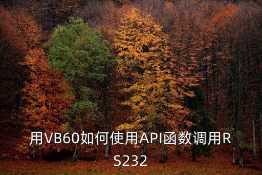 用VB60如何使用API函數調用RS232