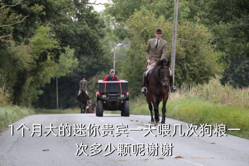 1個(gè)月大的迷你貴賓一天喂幾次狗糧一次多少顆呢謝謝