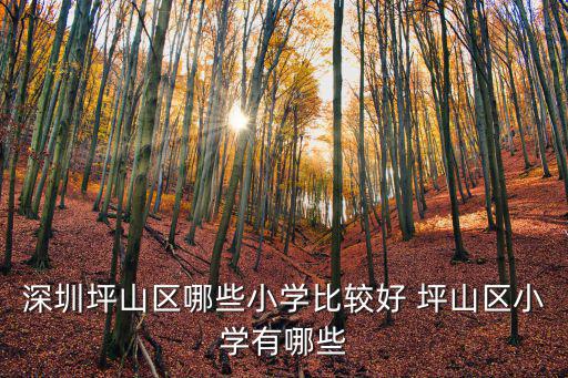 深圳坪山區哪些小學比較好 坪山區小學有哪些