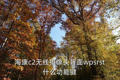 ?？礳2無線攝像頭背面wpsrst什么功能鍵