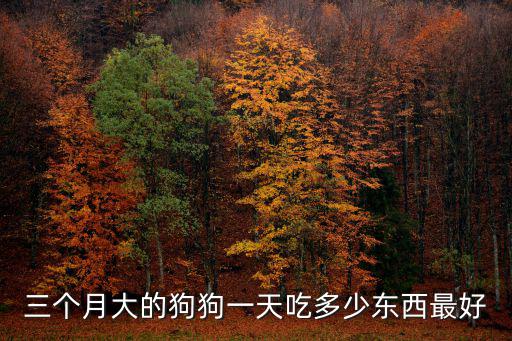 三個月大的狗狗一天吃多少東西最好