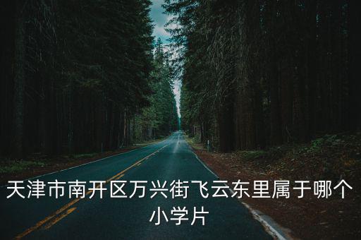 天津市南開區萬興街飛云東里屬于哪個小學片