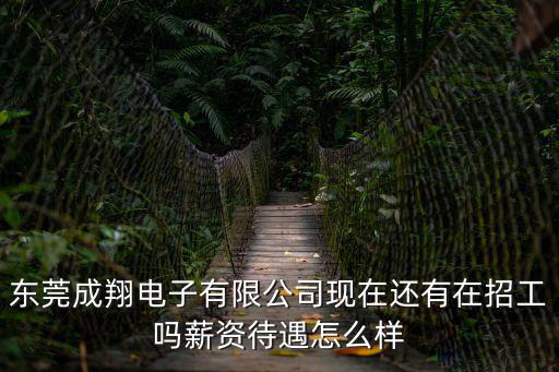 東莞成翔電子有限公司現(xiàn)在還有在招工嗎薪資待遇怎么樣
