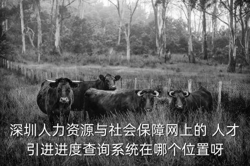 年深圳市人才引進業務申報系統，深圳人力資源與社會保障網上的 人才引進進度查詢系統在哪個位置呀