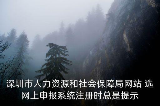 深圳市人力資源和社會保障局網站 選網上申報系統注冊時總是提示