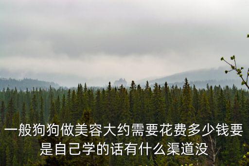 一般狗狗做美容大約需要花費(fèi)多少錢要是自己學(xué)的話有什么渠道沒