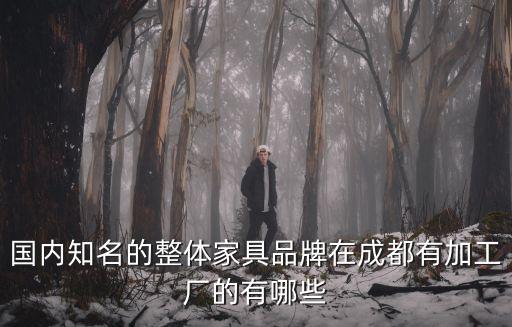 國內知名的整體家具品牌在成都有加工廠的有哪些