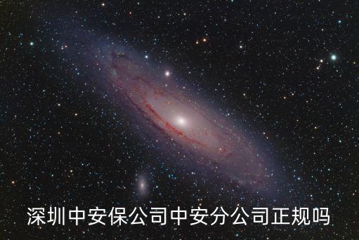 深圳中安保公司中安分公司正規嗎