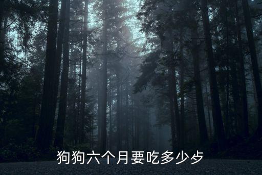 狗狗六個月要吃多少歺
