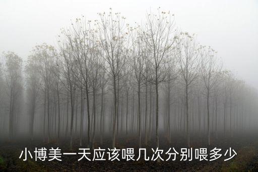 小博美一天應(yīng)該喂幾次分別喂多少