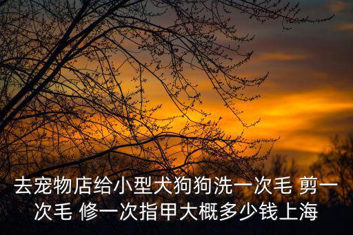 狗在寵物店清潔多少錢，去寵物店給小型犬狗狗洗一次毛 剪一次毛 修一次指甲大概多少錢上海