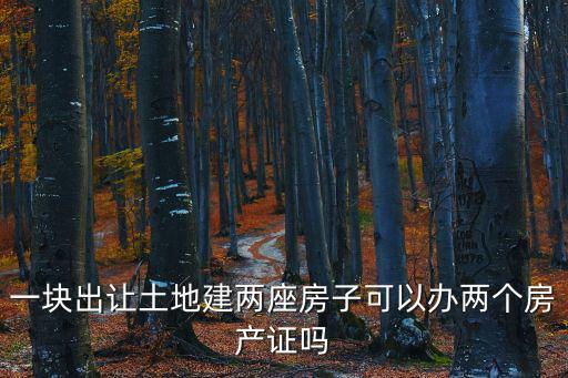 一塊出讓土地建兩座房子可以辦兩個房產證嗎