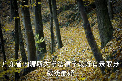 廣州的出名法學，廣州哪個律師最出名