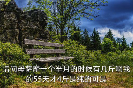 薩摩耶二個月多少斤，請問母薩摩一個半月的時候有幾斤啊我的55天才4斤是純的可是