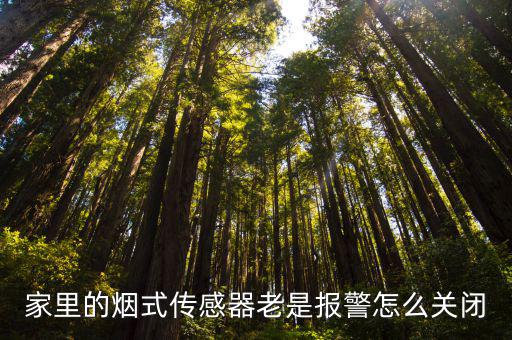 煙霧報警器怎么換關，家里的煙式傳感器老是報警怎么關閉