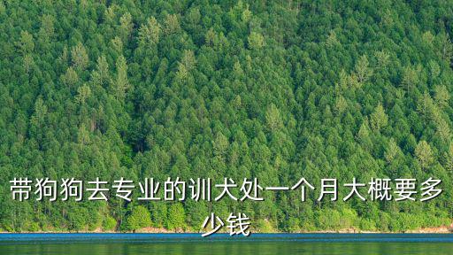 帶狗狗去專業的訓犬處一個月大概要多少錢