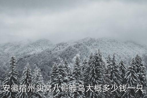 安徽宿州頭窩八哥雛鳥大概多少錢一只