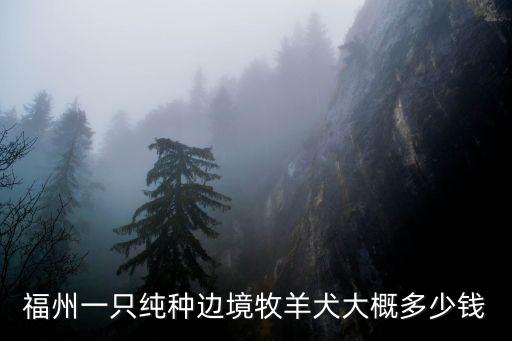 福州一只純種邊境牧羊犬大概多少錢