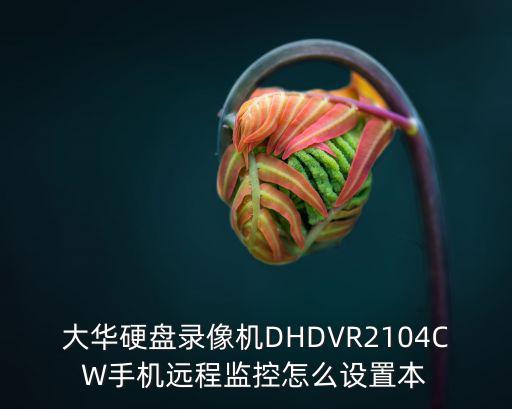 大華硬盤錄像機DHDVR2104CW手機遠程監控怎么設置本