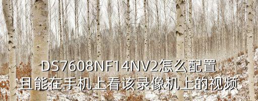 DS7608NF14NV2怎么配置且能在手機上看該錄像機上的視頻