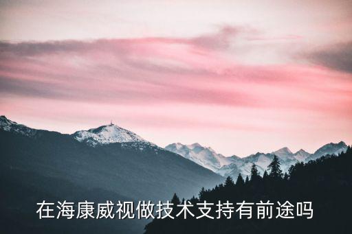 在海康威視做技術支持有前途嗎