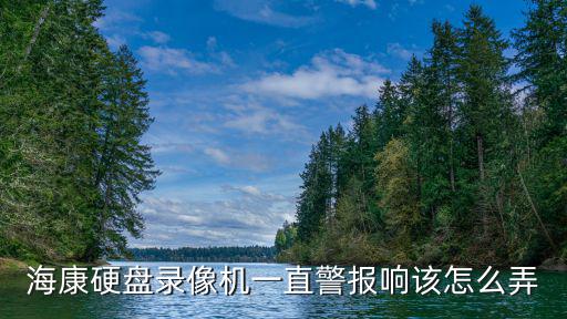 海康硬盤錄像機一直警報響該怎么弄