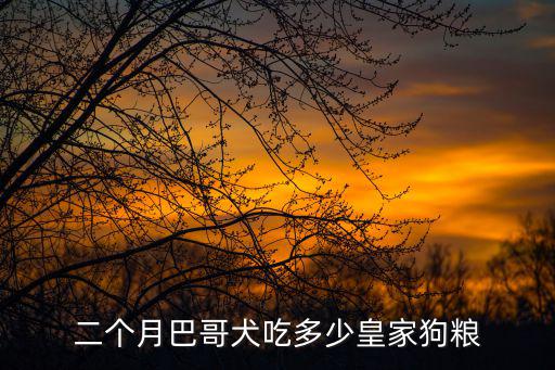 二個月巴哥犬吃多少皇家狗糧
