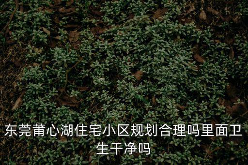 東莞莆心湖住宅小區規劃合理嗎里面衛生干凈嗎