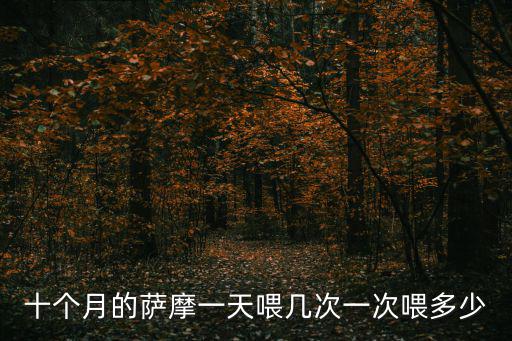 十個月的薩摩一天喂幾次一次喂多少