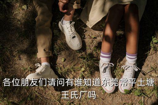 各位朋友們請問有誰知道東莞常平土塘王氏廠嗎
