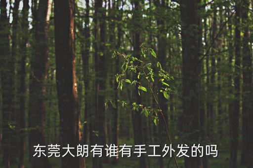 東莞大朗有誰有手工外發的嗎