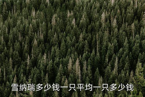 雪納瑞多少錢一只平均一只多少錢