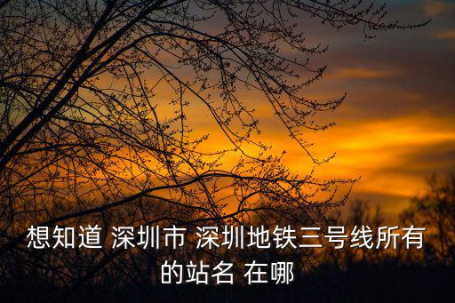 想知道 深圳市 深圳地鐵三號線所有的站名 在哪