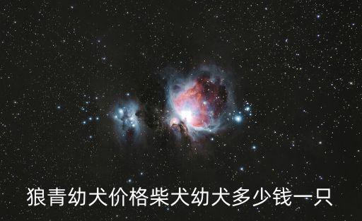 狼青幼犬價格柴犬幼犬多少錢一只