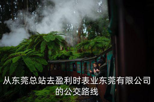 東莞大朗盈利時表業，盈利時表業有限公司
