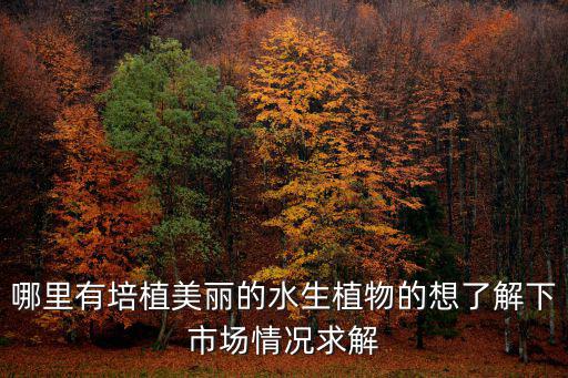 哪里有培植美麗的水生植物的想了解下市場情況求解