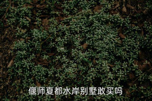 偃師夏都水岸別墅敢買嗎