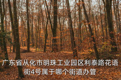 廣東省從化市明珠工業園區利泰路花語街4號屬于哪個街道辦管