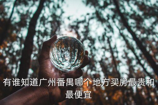 番禺哪個小區房價好，有誰知道廣州番禺哪個地方買房最貴和最便宜