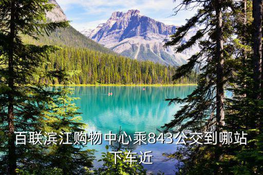 百聯(lián)濱江購物中心乘843公交到哪站下車近